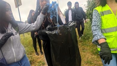 Photo of Alunos das escolas secundárias do concelho participaram em ação de recolha de lixo