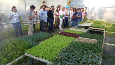 Photo of Desafios e novos rumos da horticultura biológica debatidos em Viseu