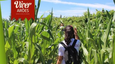Photo of ‘Viver Arões’ regressa de 11 a 13 de julho com atividades para toda a família