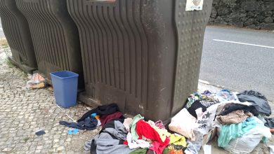 Photo of ‘Monos’ junto aos ecopontos preocupa autarcas e moradores