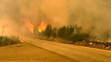Photo of Incêndios: Viseu é um dos 11 distritos em perigo máximo