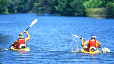 Photo of Atividades do Dia Internacional da Juventude adiadas em Viseu