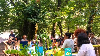 Photo of Novo projeto cultural em Viseu vai instalar-se na Mata do Serrado de 29 de agosto a 6 de setembro