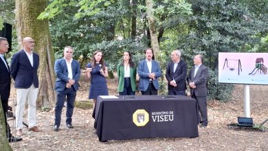 Photo of Unidade de Cuidados Continuados para 100 camas vai nascer junto à Mata do Serrado