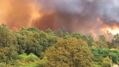 Photo of Detido em Viseu suspeito de seis crimes de fogo florestal ocorridos em julho e agosto