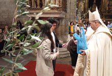 Photo of “Jardins da Paz” vão nascer em mais de 100 paróquias e agrupamentos de escolas