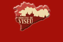Photo of Bispo de Viseu constitui novo Conselho Presbiteral