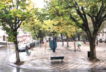 Photo of Previsões de chuva forte persistente elevam Viseu para aviso laranja esta quarta-feira