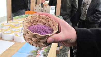 Photo of Penalva do Castelo: Dois dias de sabores autênticos na Feira do Pastor e do Queijo