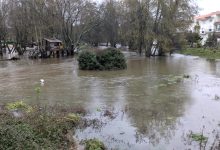 Photo of Viseu sob aviso laranja: Proteção Civil redobra apelo à prevenção na via pública “seja a pé, seja de carro”