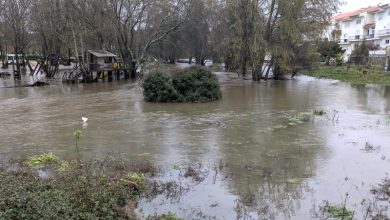 Photo of Viseu sob aviso laranja: Proteção Civil redobra apelo à prevenção na via pública “seja a pé, seja de carro”