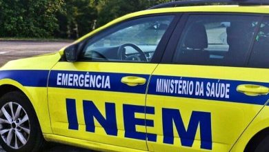 Photo of Queda de eucalipto causa morte de idoso na aldeia de Prova, Oliveira de Frades