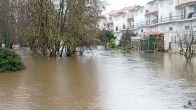 Photo of Evento extremo de precipitação alertou para urgência da regularização do caudal do rio Pavia