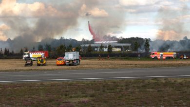 Photo of Em Viseu testa-se capacidade de resposta a grandes incêndios com operacionais de seis países