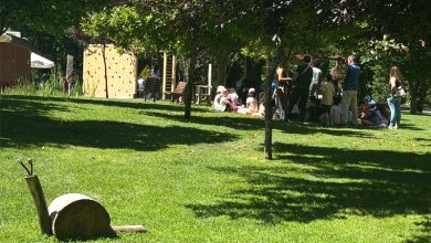 Photo of 2.ª edição do ‘Jardim das Artes e das Letras’ de Viseu arrancou neste Dia Mundial da Criança