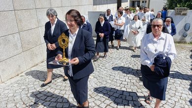 Photo of Apelo à renovação do legado da Beata Rita para fortalecer a missão da Igreja e do Instituto JMJ
